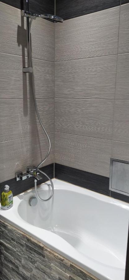 Apartament Kaja Siemianowice Śląskie エクステリア 写真