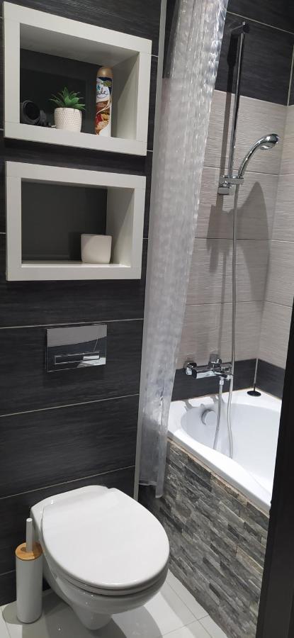 Apartament Kaja Siemianowice Śląskie エクステリア 写真